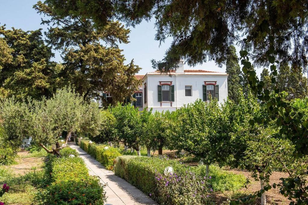 Calvocoressi Estate Chios Town Exterior foto